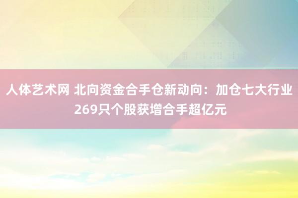 人体艺术网 北向资金合手仓新动向：加仓七大行业 269只个股获增合手超亿元