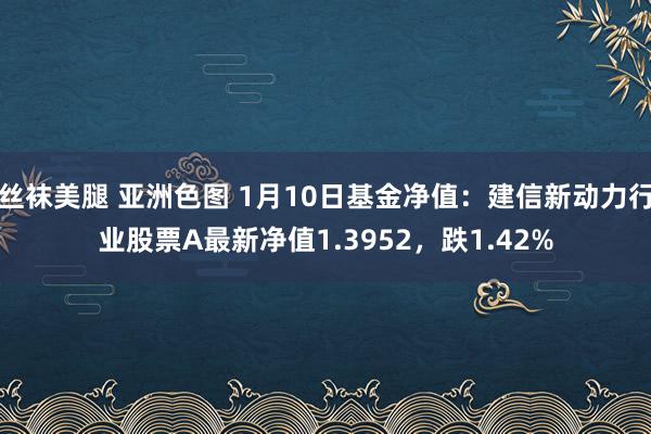 丝袜美腿 亚洲色图 1月10日基金净值：建信新动力行业股票A最新净值1.3952，跌1.42%