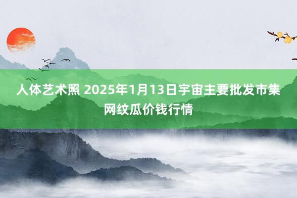 人体艺术照 2025年1月13日宇宙主要批发市集网纹瓜价钱行情