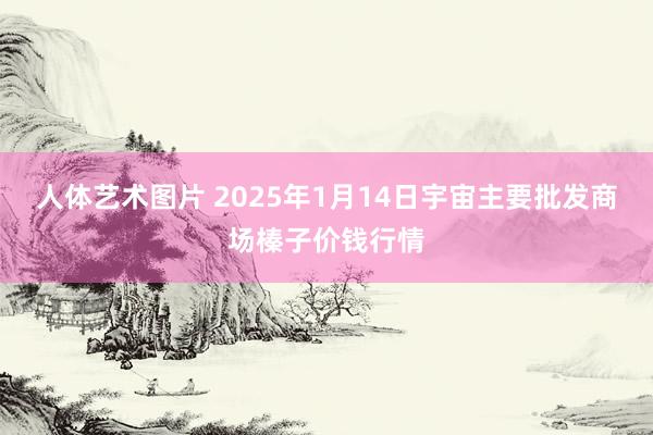 人体艺术图片 2025年1月14日宇宙主要批发商场榛子价钱行情