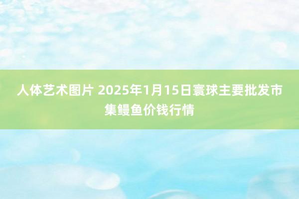 人体艺术图片 2025年1月15日寰球主要批发市集鳗鱼价钱行情